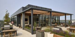 Sage Gallery 21