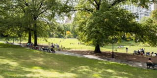 Parc Cameron Gallery 27