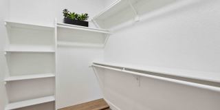 The Laurel Apartments Gallery 12