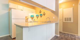 Playa Vista Apartments Gallery 13