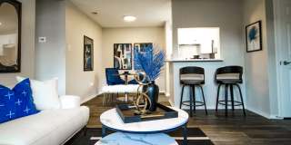The Vibe Gallery 4