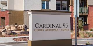 Cardinal 95 Gallery 36