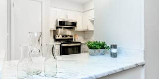 Chase Cove Apartments Gallery 72