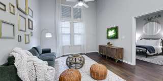 The Travis Gallery 6