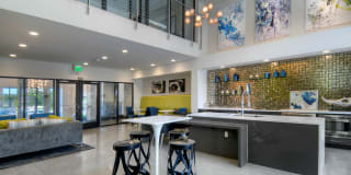 The Lex Gallery 6