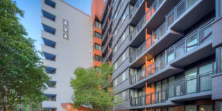 AVA Van Ness Gallery 32