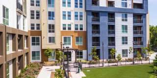 808 West Apartments Gallery 38