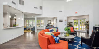 Collin Creek Gallery 16