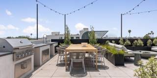 Matteson by Category Gallery 11