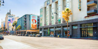 Arrive Hollywood Gallery 46