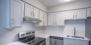 Willow Apartments Gallery 17