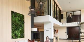Sage Gallery 3