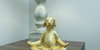 Brighton Valley Gallery 39
