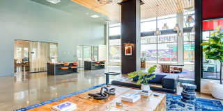 Webster Eleven Gallery 9