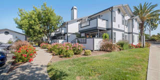 Terra House Apartments Gallery 21