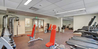 Student Housing - Echo 1055 Gallery 27