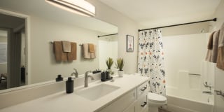 Merino Gallery 10