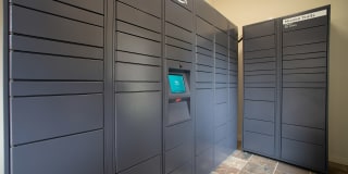 Mission Trails Gallery 23