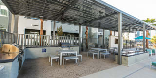 Arista Gallery 19
