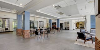 Vivo Living Raleigh I Gallery 2
