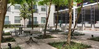 Olympus Boulevard Gallery 33