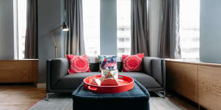 2221 S Clark - Student Housing Gallery 17