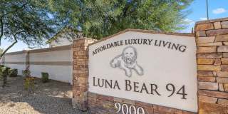 Luna Bear 94 Gallery 26