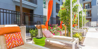 808 West Apartments Gallery 15