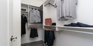 Symphony Gallery 16