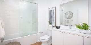 Cielo Gallery 6
