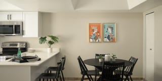 Merino Gallery 11
