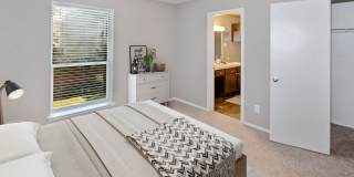 Collin Creek Gallery 33