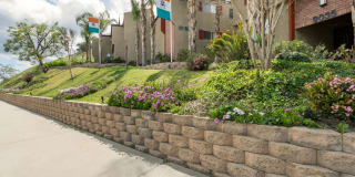 Topanga Canyon Apartments Gallery 39
