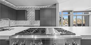 1108 Pine Island Court Gallery 15