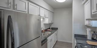 Willow Apartments Gallery 16