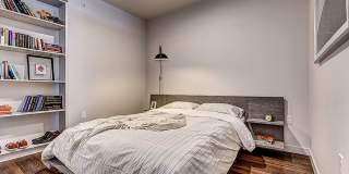 Latitude Gallery 20