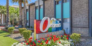 Omnia on Thomas Gallery 8