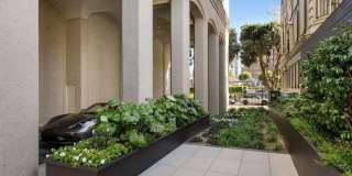 1170 Sacramento Street Gallery 25