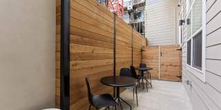 The Collective Gallery 11