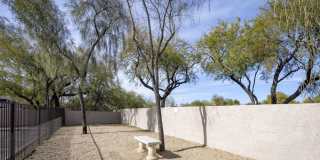 Vintage At Scottsdale Gallery 37