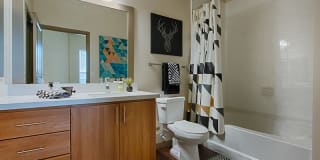 Skye at McClintock Station Gallery 13