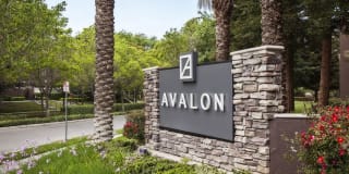 Avalon Willow Glen Gallery 26