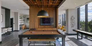 The Ryland Gallery 19