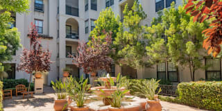 Fountain Plaza Gallery 4