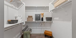 Cardinal 95 Gallery 12