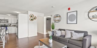 The Lodge Gallery 19