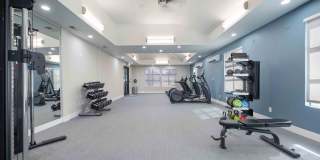 Terra House Apartments Gallery 18