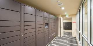 Chestnut Hall Apartments Gallery 16
