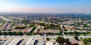 Olive View Gardens Gallery 18