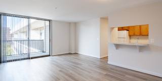 Wildwood Towers Gallery 17
